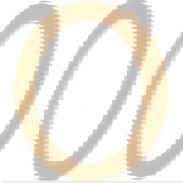 7/8 SAE, Oil Drain Plug Gasket